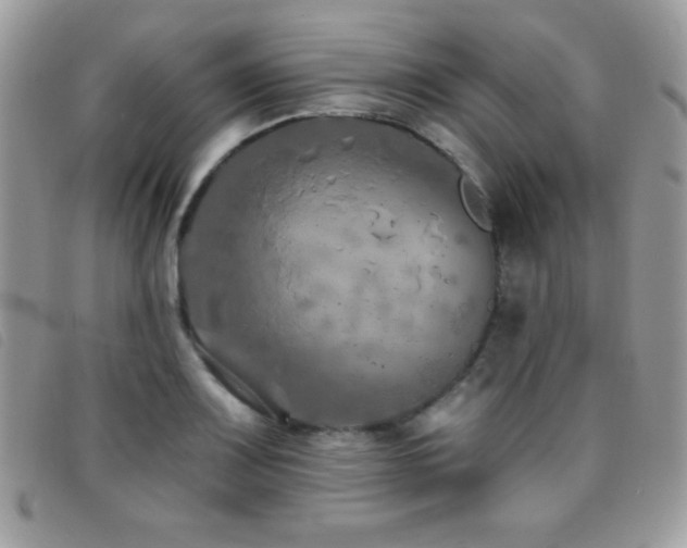 X0000095881083200801111128