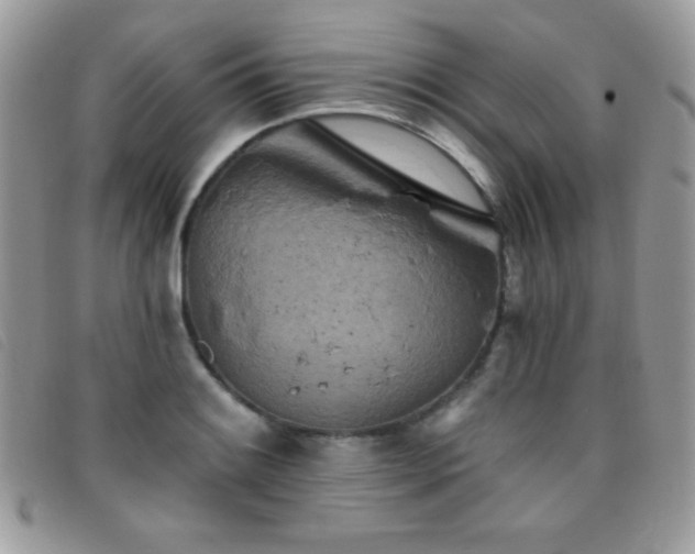 X0000095881084200801111128