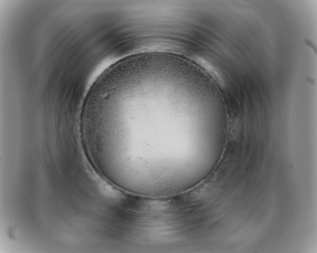 X0000095881086200801111128