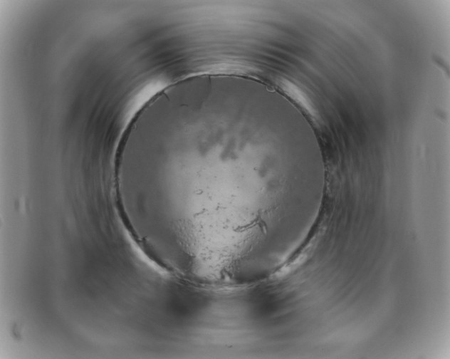 X0000095881087200801111128