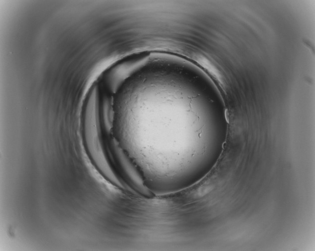 X0000095881088200801111128