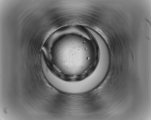X0000095881089200801111128