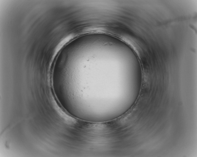 X0000095881090200801111128