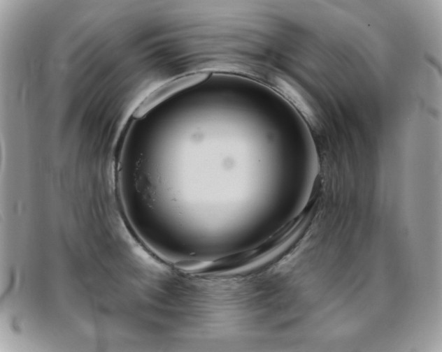 X0000095881092200801111128