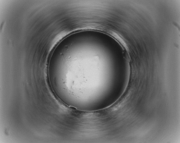 X0000095881093200801111128