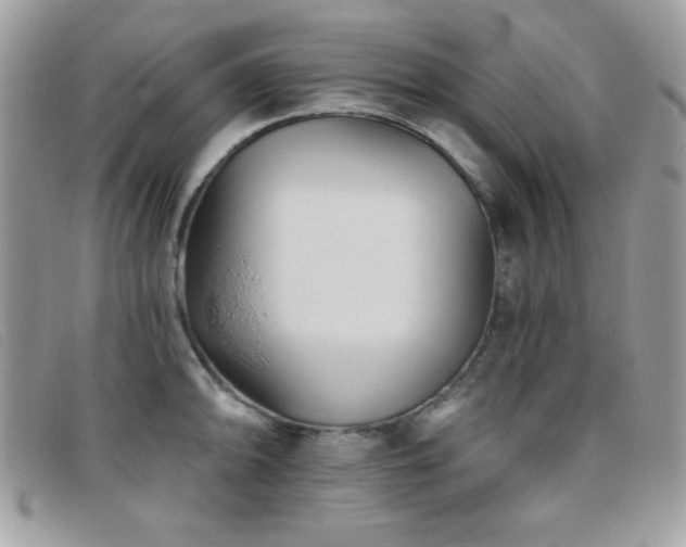 X0000095881094200801111128