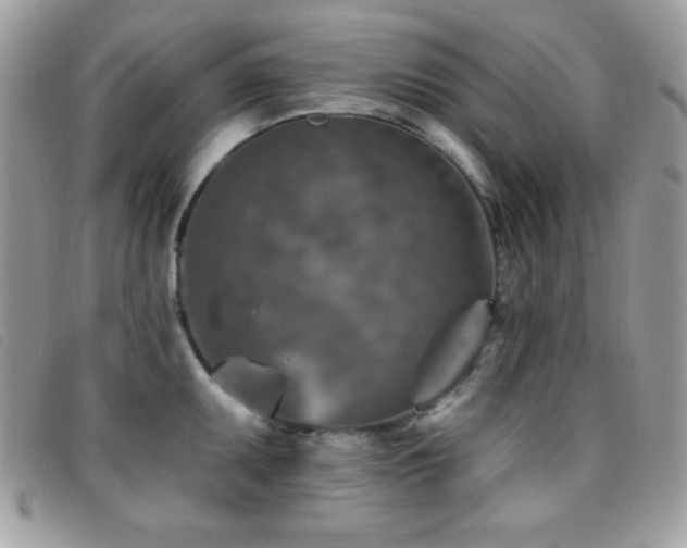 X0000095881095200801111128