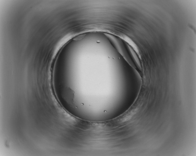 X0000095881096200801111128