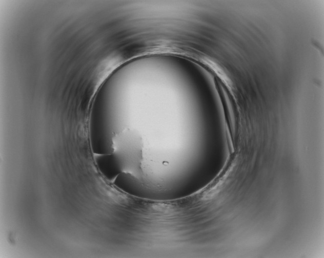 X0000095881097200801111128