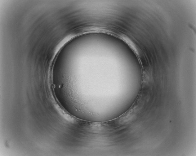 X0000095881098200801111128