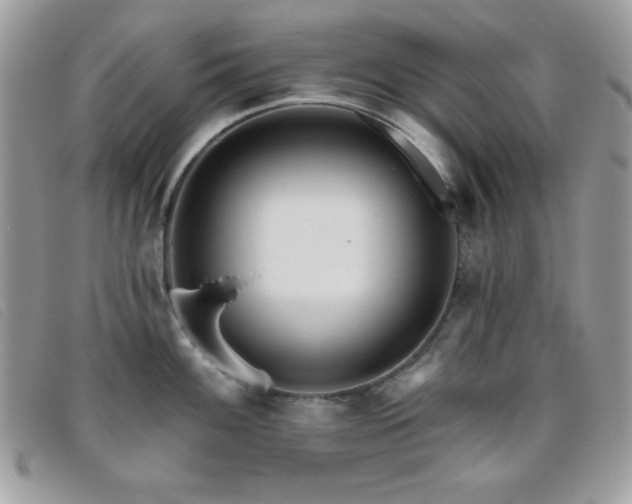 X0000095881100200801111128