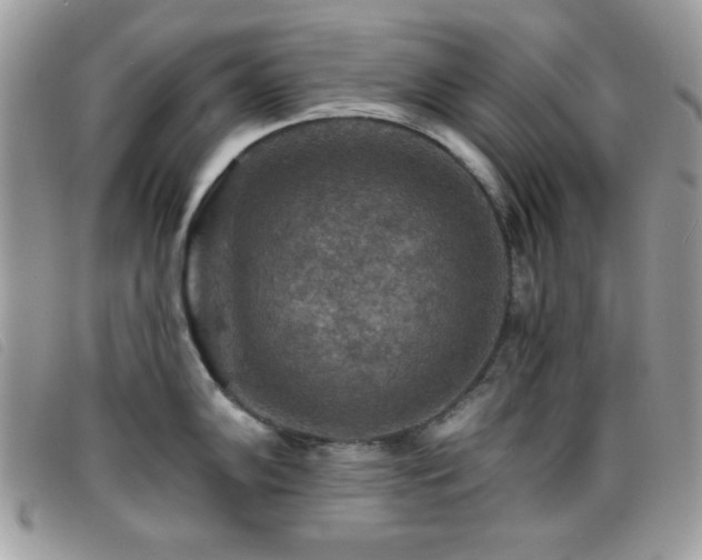 X0000095881102200801111128