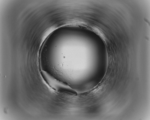 X0000095881103200801111128
