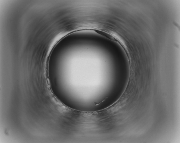 X0000095881104200801111128