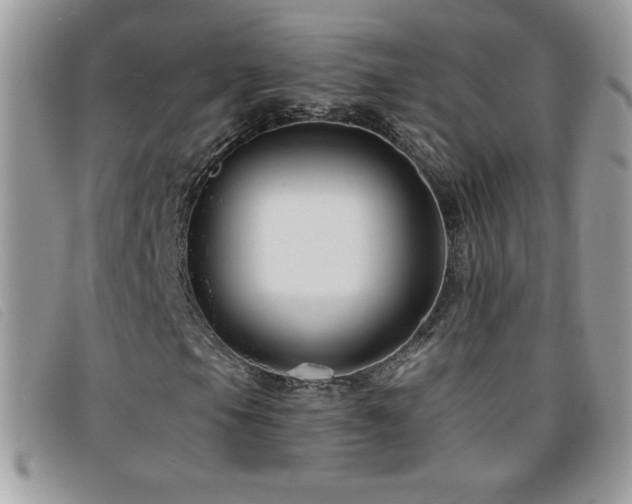 X0000095881105200801111127