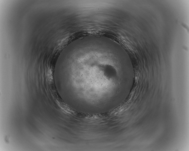 X0000095881106200801111127
