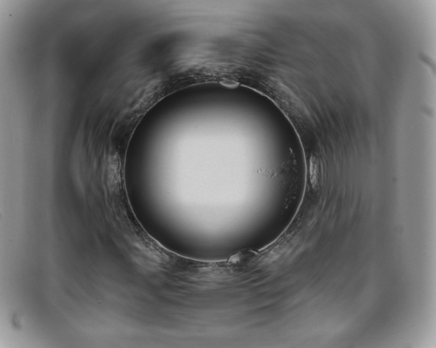 X0000095881107200801111127