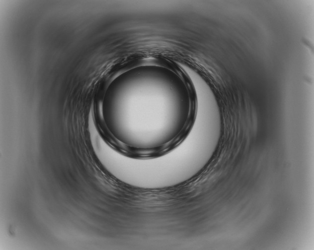X0000095881108200801111127