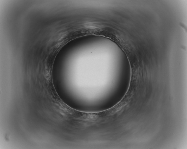 X0000095881109200801111127