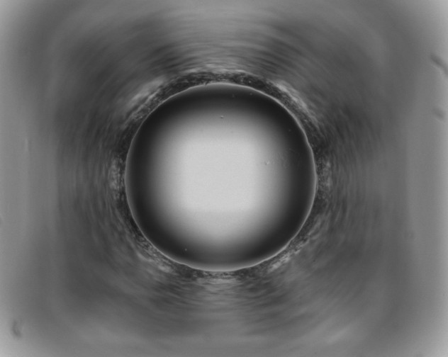 X0000095881110200801111127