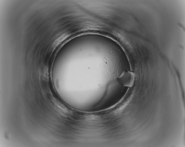 X0000095881113200801111127