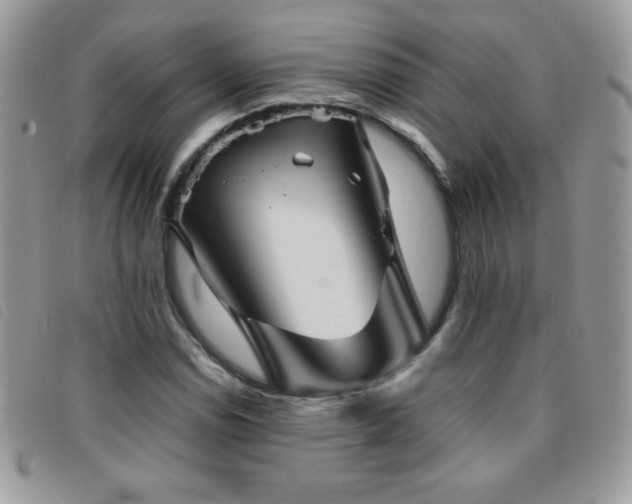 X0000095881114200801111127