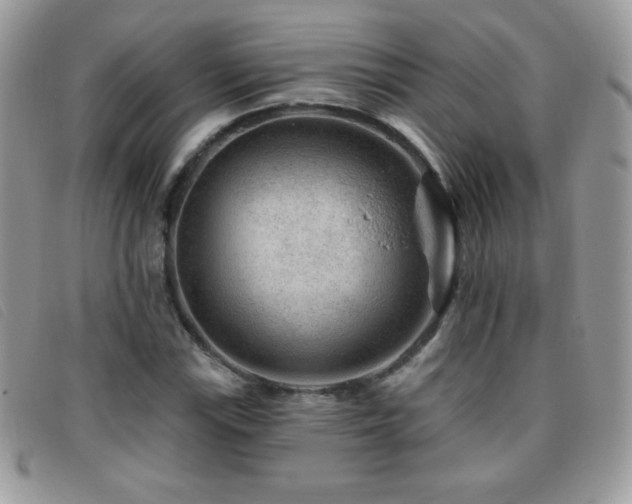 X0000095881115200801111127