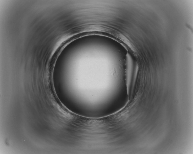 X0000095881116200801111127