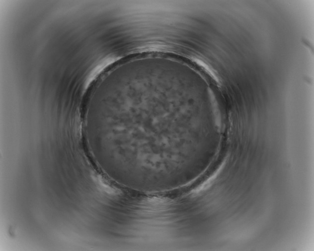 X0000095881117200801111127