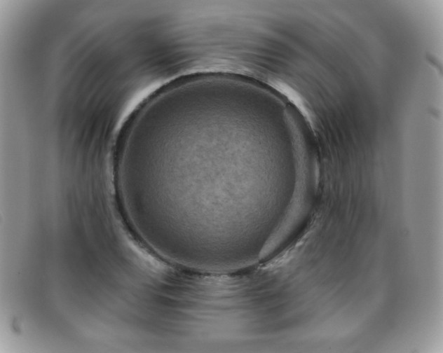 X0000095881120200801111127