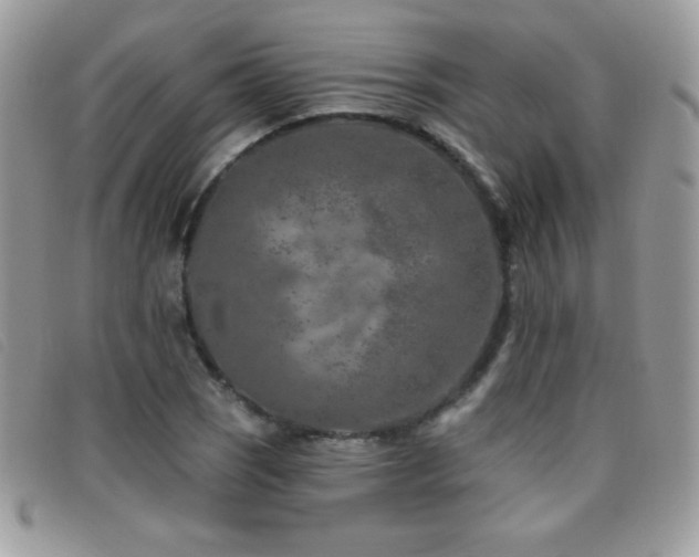 X0000095881121200801111127