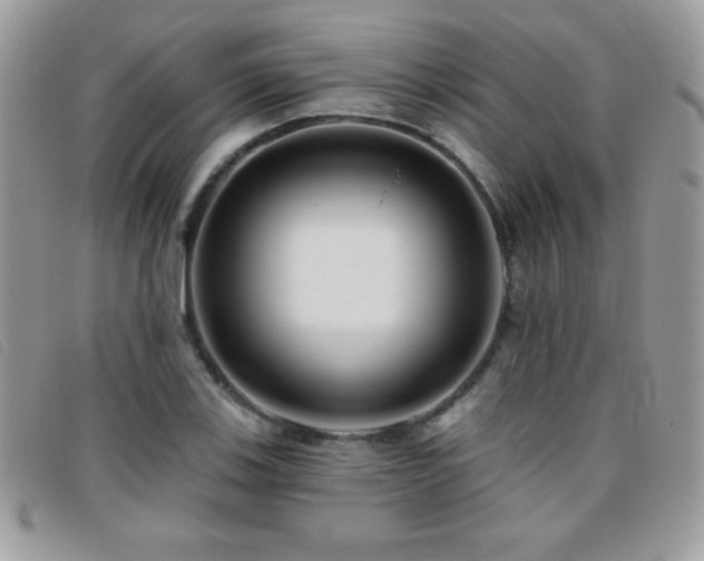 X0000095881123200801111127