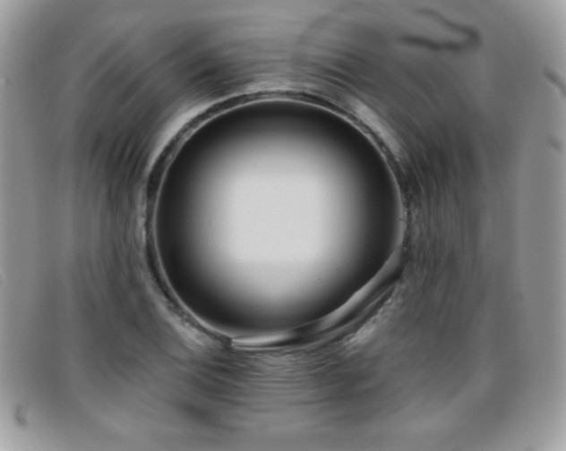 X0000095881124200801111127