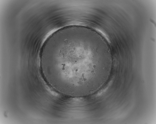 X0000095881125200801111127