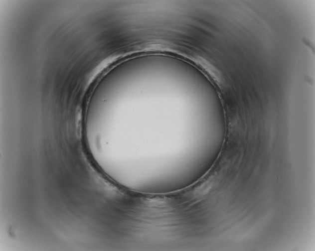 X0000095881126200801111127