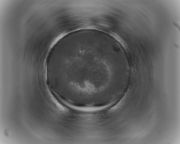 X0000095881127200801111127