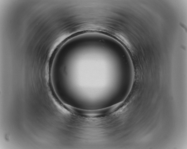 X0000095881128200801111127