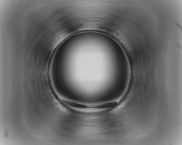 X0000095881129200801111127