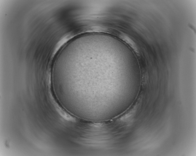 X0000095881130200801111127