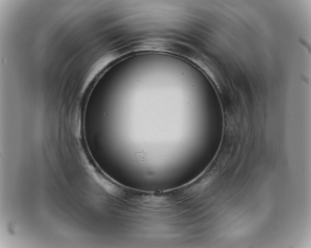 X0000095881131200801111127