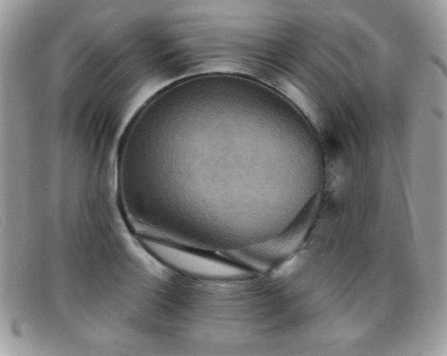 X0000095881132200801111127