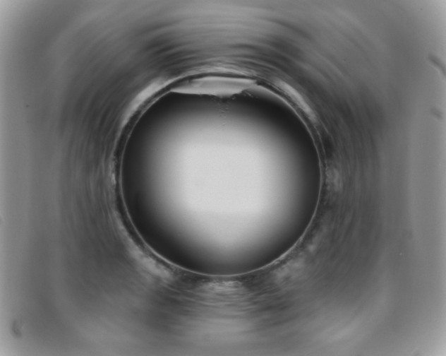 X0000095881133200801111127