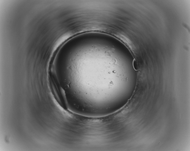 X0000095881135200801111127