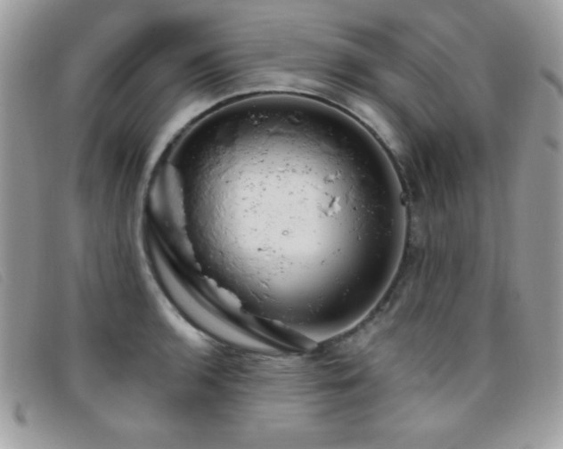 X0000095881136200801111127