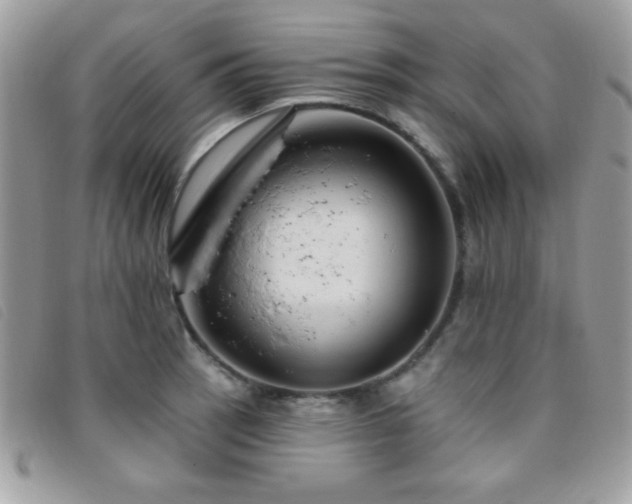 X0000095881137200801111127
