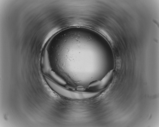 X0000095881138200801111127