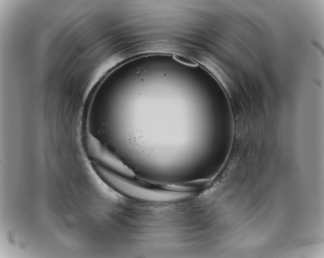 X0000095881139200801111127