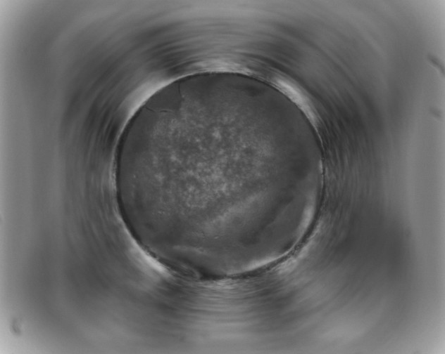 X0000095881141200801111127