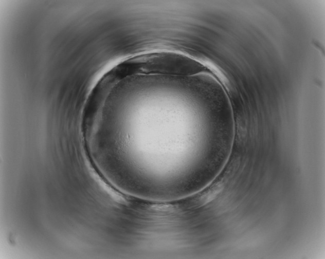 X0000095881142200801111127