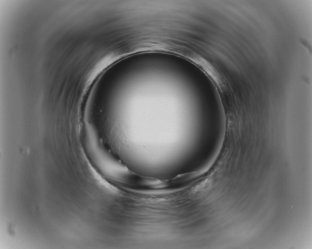 X0000095881143200801111127